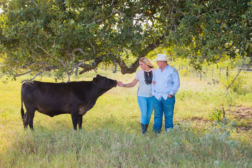 Whitney and Craig's ranch Engagement session kissing cow