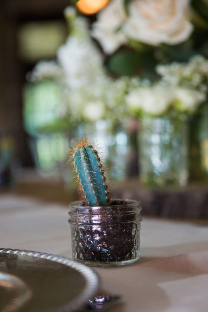 Aamber wedding Canyon Springs Golf Course centerpiece little cactus