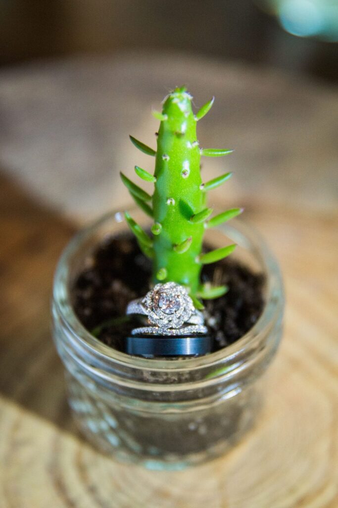 Aamber wedding Canyon Springs Golf Course rings with little cactus