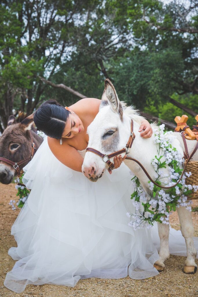 Laura wedding Western Sky brides and burros eye contact