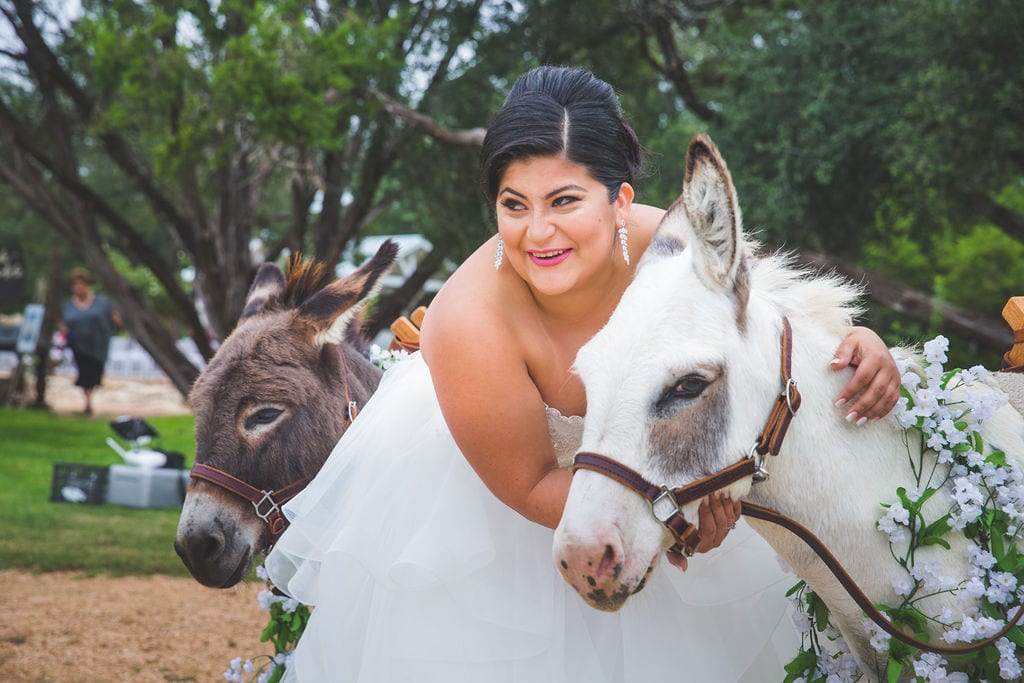 Laura wedding Western Sky brides and burros laugh