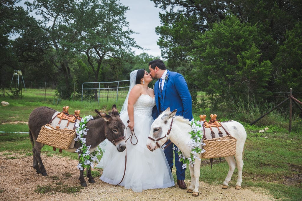 Laura wedding Western Sky wedding couple with burros