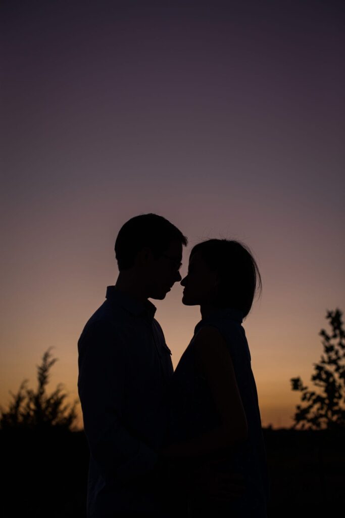 Josh and Tina engagement session at park sunset silhouette
