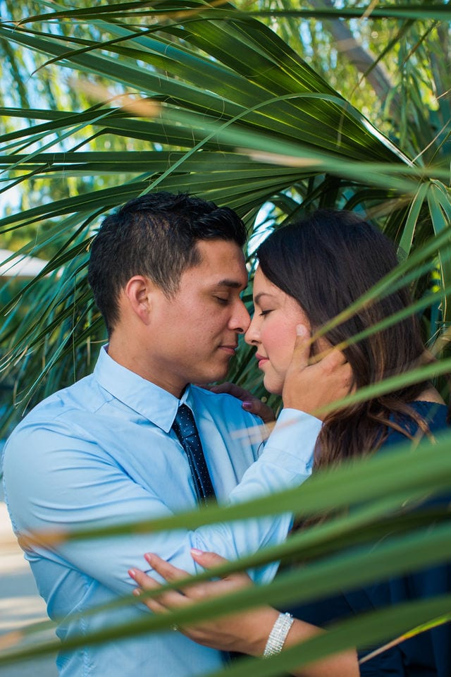 Anthony Engagement session at La Cantera Resort in the palm fronds