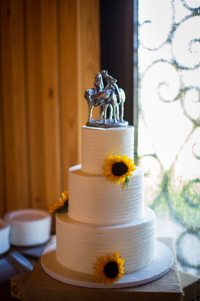 Jamie's wedding at the Milestone in Boerne the cake
