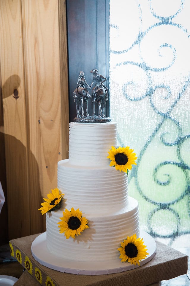 Jamie's wedding at the Milestone in Boerne reception cake