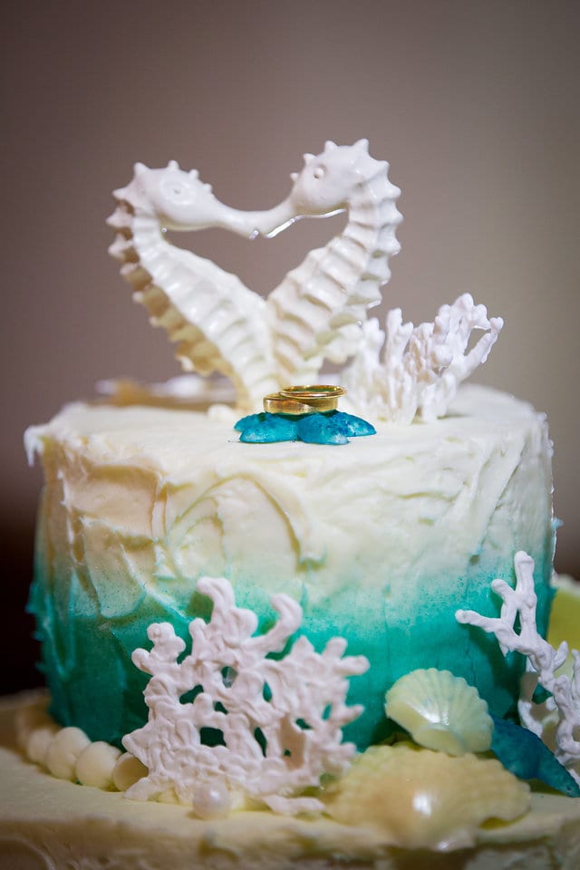 Skye Wedding Randolph Air Force Base parr club cake