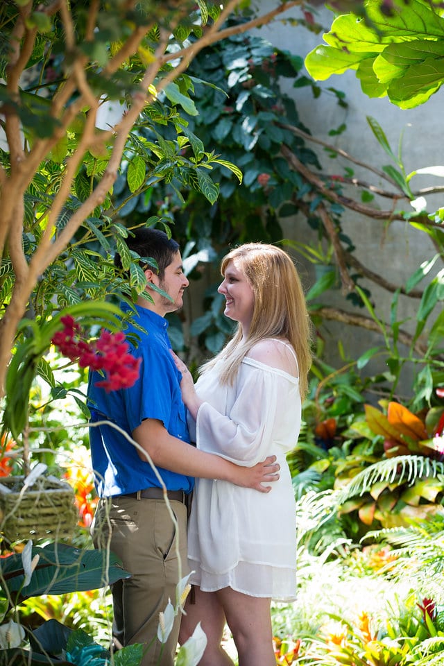 Cantu engagement romantic portrait San Antonio Botanical Garden tropical atrium