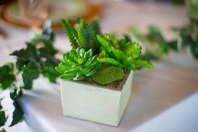 Rafter E Venue styled shoot head table succulents