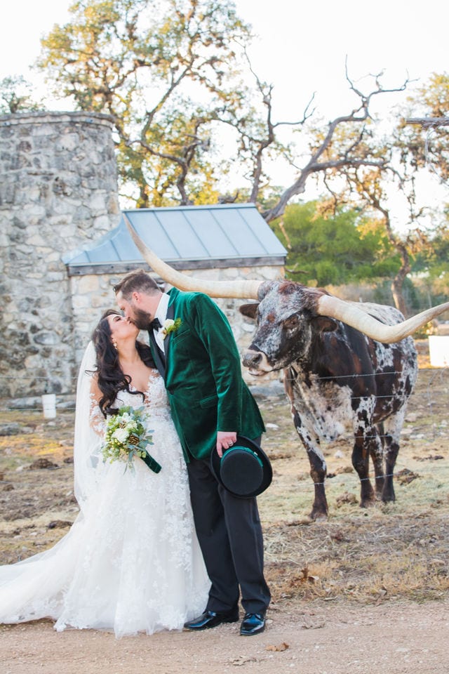 Bride and Groom with the longhorn at Canyon Springs wedding