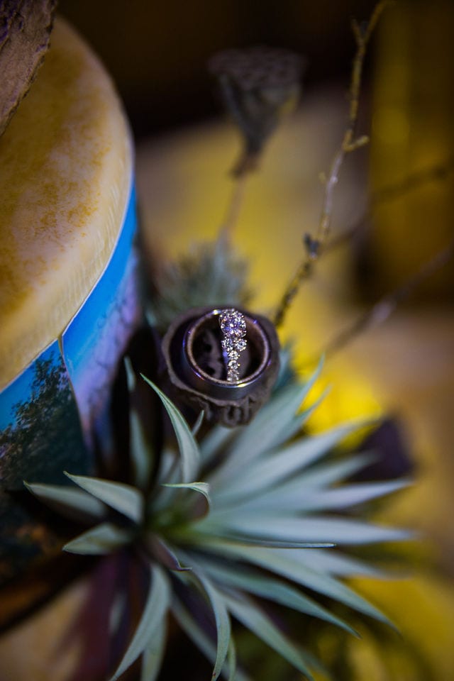 Baleigh's rings and succulent Eagle Dancer Ranch Wedding