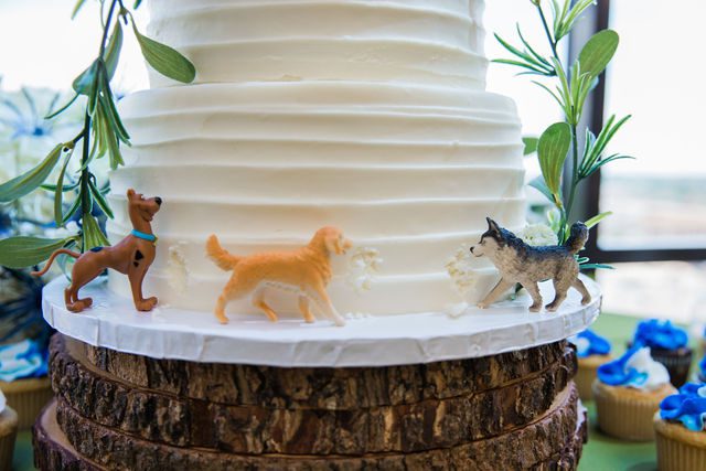 Ophir's puppy cake in San Antonio wedding reception