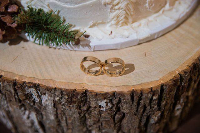 Will and Ross's rings at harper hills ranch wedding reception
