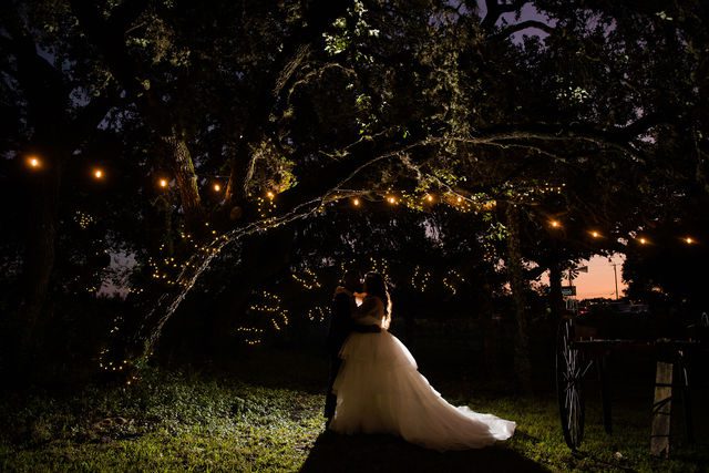 Mayra's dramatic portrait in the vines at the wedding Oak Valley Vineyards
