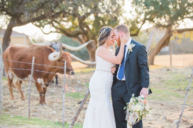 Yoli and Daltin's wedding at Canyon Springs in front of the cows.
