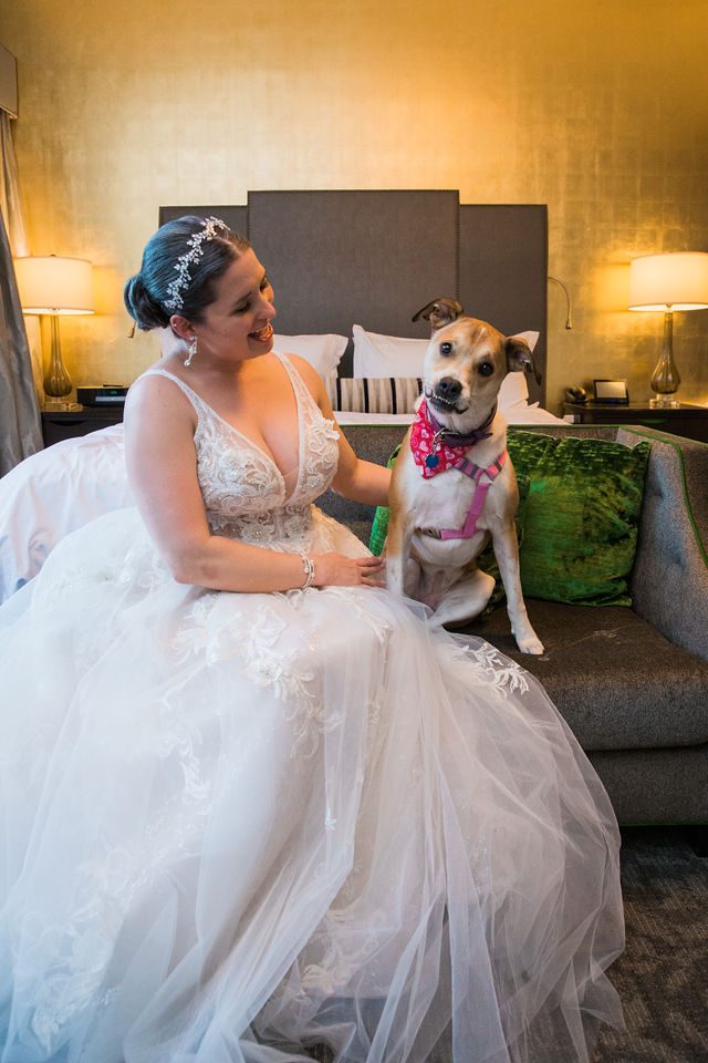 Bonnie's wedding at St Anthony hotel bride with her dog