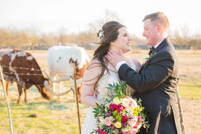 Simon wedding at Gruene Estate in New Braunfels couple portrait with cows