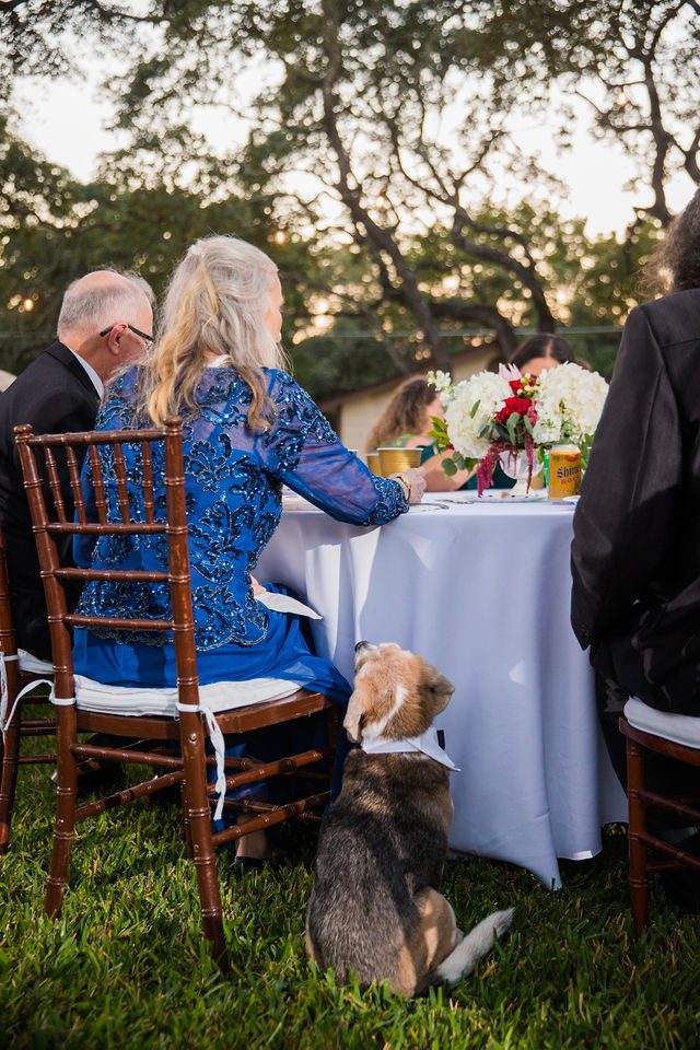 Pixley wedding in Garden Ridge reception dog waiting