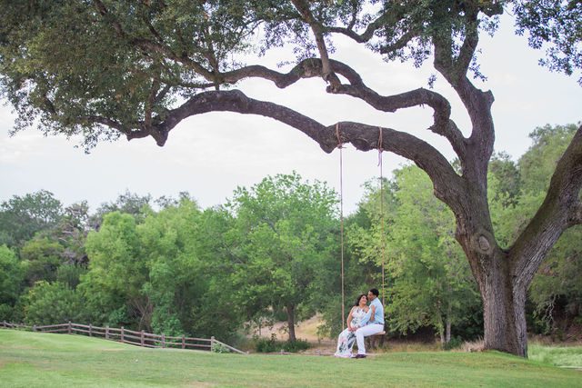 Jo Marie Engagement session Olympia Hills at big tree on the swing