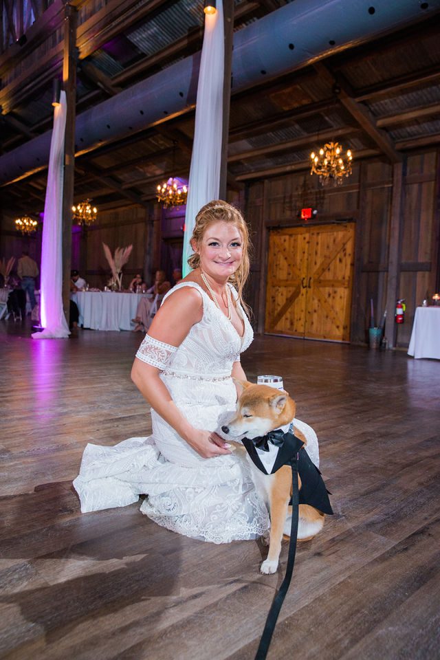 Lamm wedding reception at Eagle Dancer Ranch bride and dog