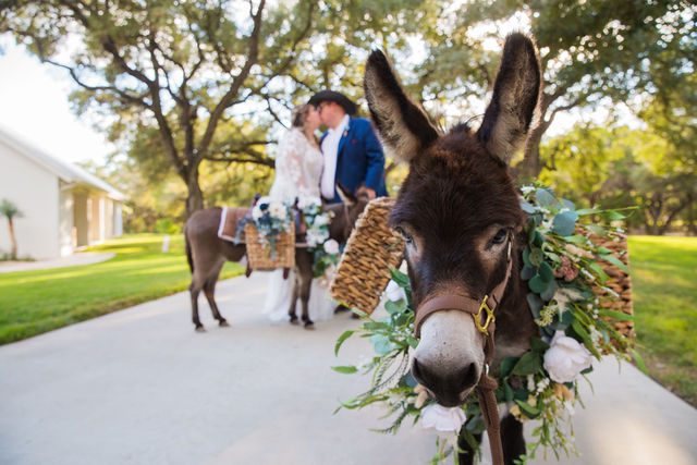Ryanne's Wedding at the Chandelier of Gruene couple with donkeys